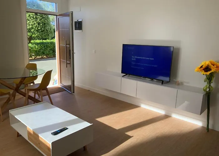 Yellow Apartments: Pet-friendly Beachfront Luxury *